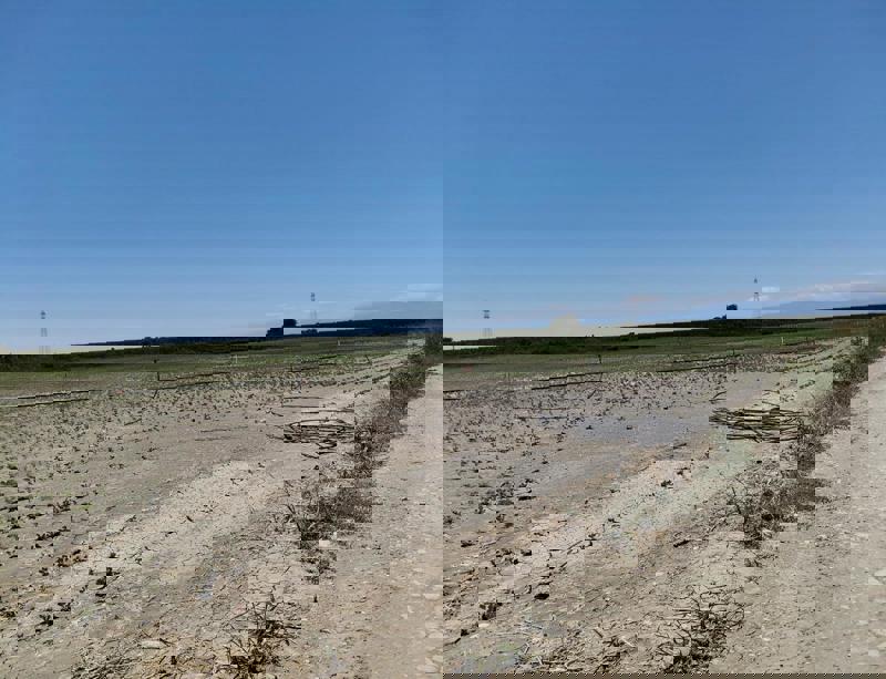 ADANA KOZAN'DA 48.272 M2 SATILIK TARLA